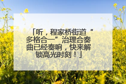听，程家桥街道“多格合一”治理合奏曲已经奏响，快来解锁高光时刻！