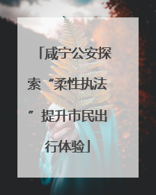 咸宁公安探索“柔性执法”提升市民出行体验