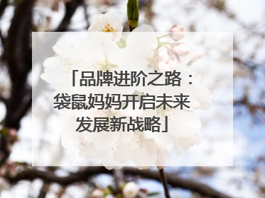 品牌进阶之路：袋鼠妈妈开启未来发展新战略