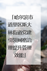 哈尔滨市道里区斯大林街道党建引领网格治理提升管理效能