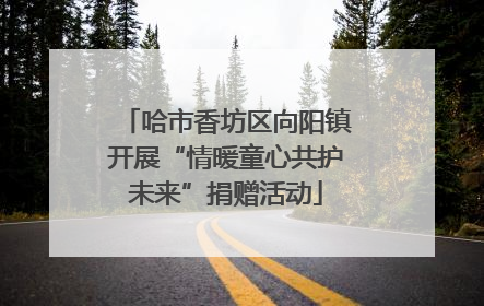 哈市香坊区向阳镇开展“情暖童心共护未来”捐赠活动