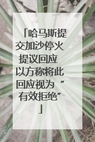 哈马斯提交加沙停火提议回应 以方称将此回应视为“有效拒绝”