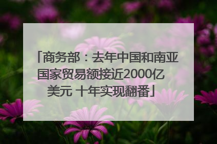 商务部：去年中国和南亚国家贸易额接近2000亿美元 十年实现翻番