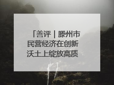 善评｜滕州市民营经济在创新沃土上绽放高质量发展之花