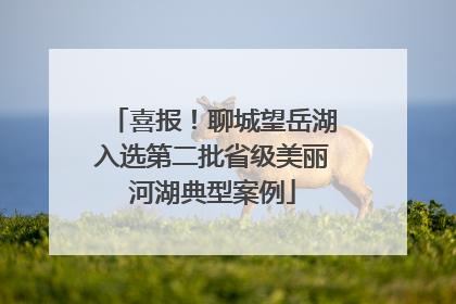 喜报！聊城望岳湖入选第二批省级美丽河湖典型案例