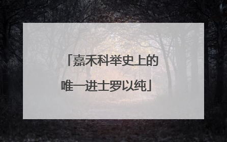 嘉禾科举史上的唯一进士罗以纯