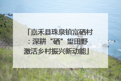 嘉禾县珠泉镇富硒村：深耕“硒”望田野 激活乡村振兴新动能