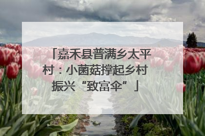嘉禾县普满乡太平村：小菌菇撑起乡村振兴“致富伞”
