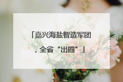 嘉兴海盐智造军团，全省“出圈”