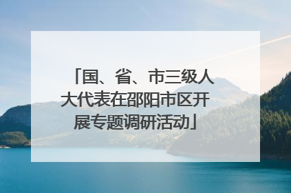国、省、市三级人大代表在邵阳市区开展专题调研活动