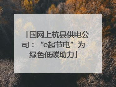 国网上杭县供电公司：“e起节电”为绿色低碳助力