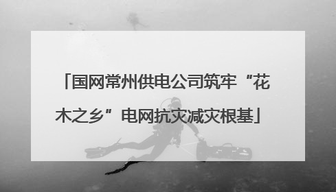 国网常州供电公司筑牢“花木之乡”电网抗灾减灾根基
