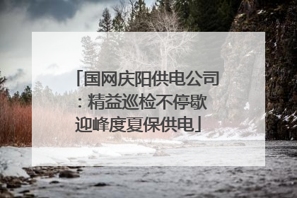 国网庆阳供电公司：精益巡检不停歇 迎峰度夏保供电
