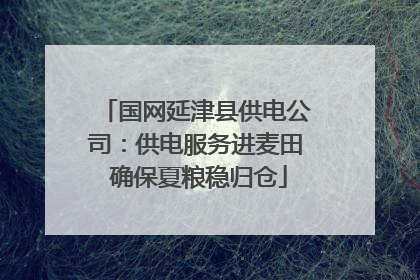 国网延津县供电公司：供电服务进麦田 确保夏粮稳归仓