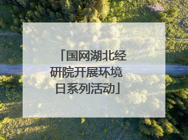 国网湖北经研院开展环境日系列活动