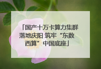 国产十万卡算力集群落地庆阳 筑牢“东数西算”中国底座
