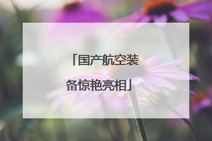 国产航空装备惊艳亮相