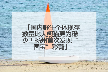 国内野生个体现存数量比大熊猫更为稀少！扬州首次发现“国宝”彩鹮