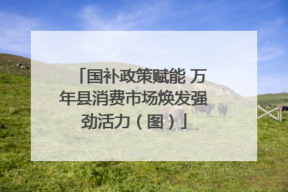 国补政策赋能 万年县消费市场焕发强劲活力（图）