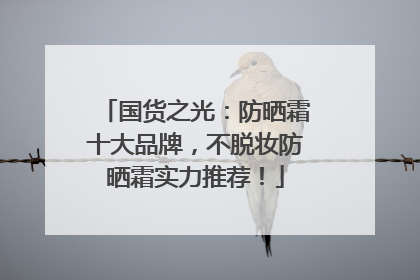 国货之光：防晒霜十大品牌，不脱妆防晒霜实力推荐！