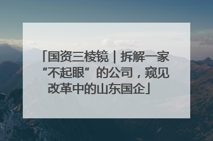国资三棱镜｜拆解一家“不起眼”的公司，窥见改革中的山东国企