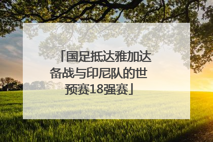 国足抵达雅加达备战与印尼队的世预赛18强赛
