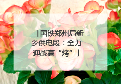 国铁郑州局新乡供电段：全力迎战高“烤”