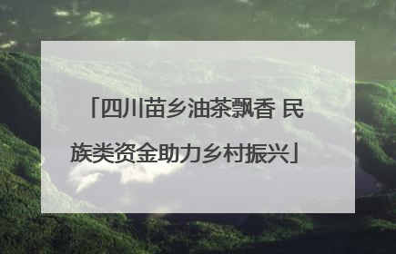 四川苗乡油茶飘香 民族类资金助力乡村振兴