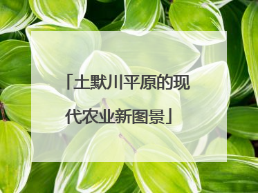 土默川平原的现代农业新图景