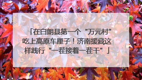 在白朗县第一个“万元村”吃上高原车厘子！济南援藏这样践行“一茬接着一茬干”