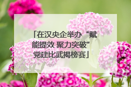 在汉央企举办“赋能提效 聚力突破”党建比武揭榜赛