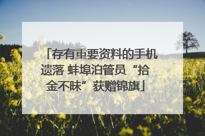 存有重要资料的手机遗落 蚌埠泊管员“拾金不昧”获赠锦旗