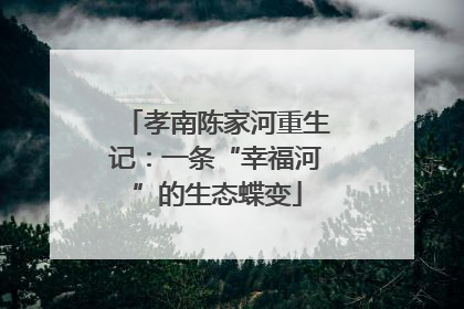 孝南陈家河重生记：一条“幸福河”的生态蝶变