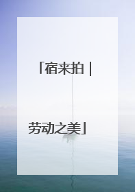 宿来拍｜劳动之美