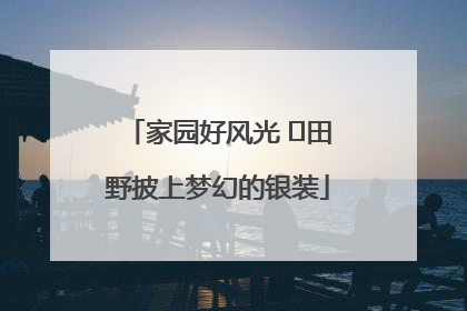 家园好风光 ⎮田野披上梦幻的银装