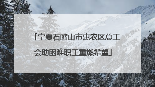 宁夏石嘴山市惠农区总工会助困难职工重燃希望