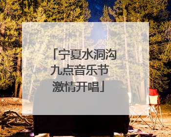 宁夏水洞沟 九点音乐节激情开唱