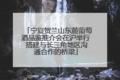 宁夏贺兰山东麓葡萄酒品鉴推介会在沪举行 搭建与长三角地区沟通合作的桥梁