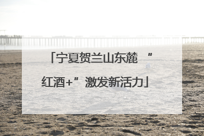 宁夏贺兰山东麓 “红酒+”激发新活力