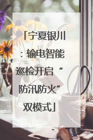 宁夏银川：输电智能巡检开启“防汛防火”双模式