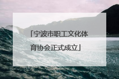 宁波市职工文化体育协会正式成立