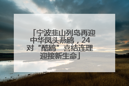 宁波韭山列岛再迎中华凤头燕鸥，24对“酷鸥”喜结连理迎接新生命