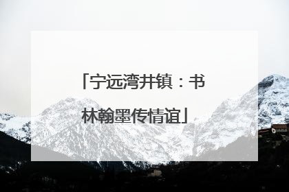 宁远湾井镇：书林翰墨传情谊