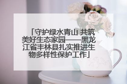 守护绿水青山 共筑美好生态家园——黑龙江省丰林县扎实推进生物多样性保护工作
