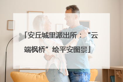 安丘城里派出所：“云端枫桥”绘平安图景