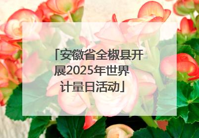 安徽省全椒县开展2025年世界计量日活动