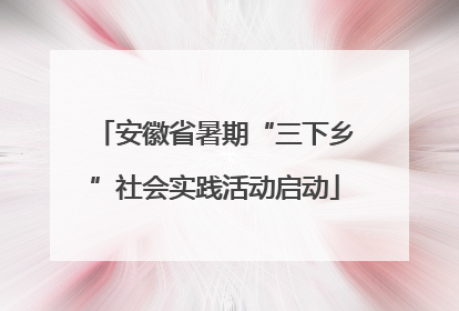安徽省暑期“三下乡”社会实践活动启动
