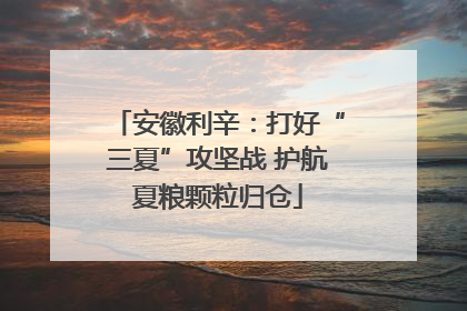 安徽利辛：打好“三夏”攻坚战 护航夏粮颗粒归仓