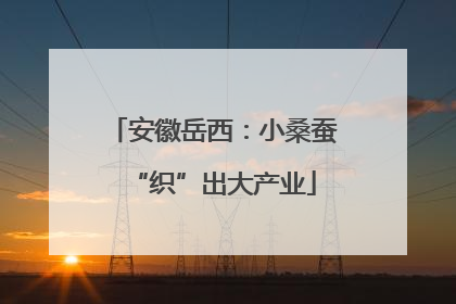 安徽岳西：小桑蚕“织”出大产业