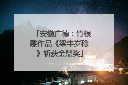 安徽广德：竹根雕作品《梁丰岁稔》斩获金鼎奖